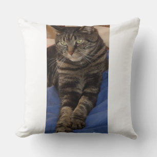 Regal Dave Polyester Cushion Kissen