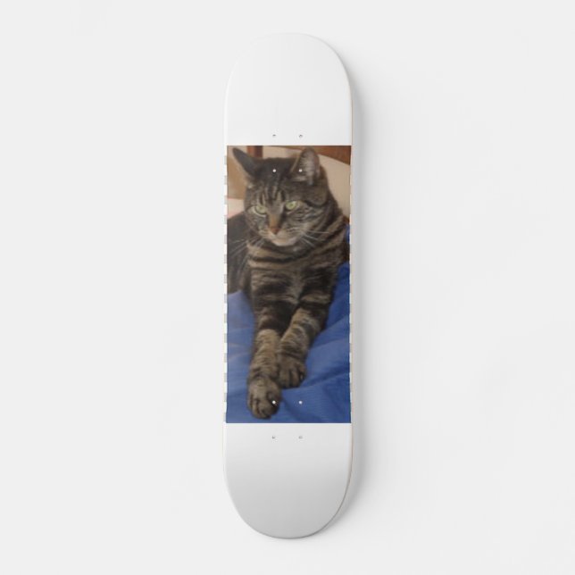 Regal Dave Skateboard (Vorderseite)