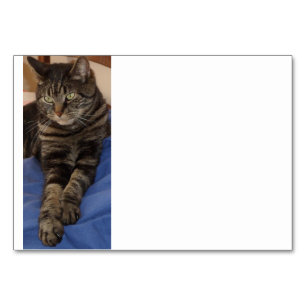 Regal Dave Table Cards Tischnummer