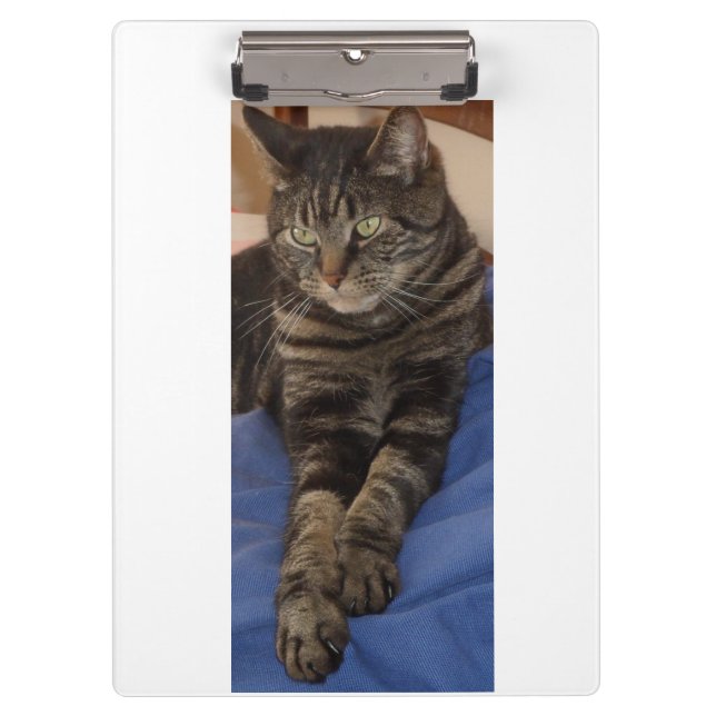 Regal Dave Ultra Sturdy A4 Clipboard Klemmbrett (Vorderseite)