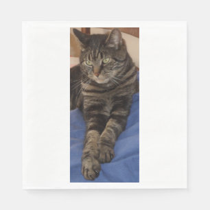 Regal Dave White Standard Luncheon Paper Napkins Serviette