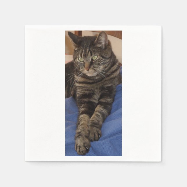 Regal Dave White Standard Napkins Serviette (Vorderseite)