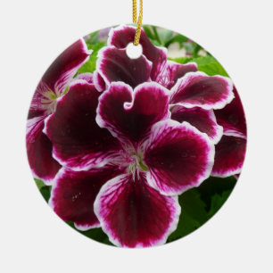 Regal Geranium Flowers Elegant Maroon Floral Lugga Keramik Ornament