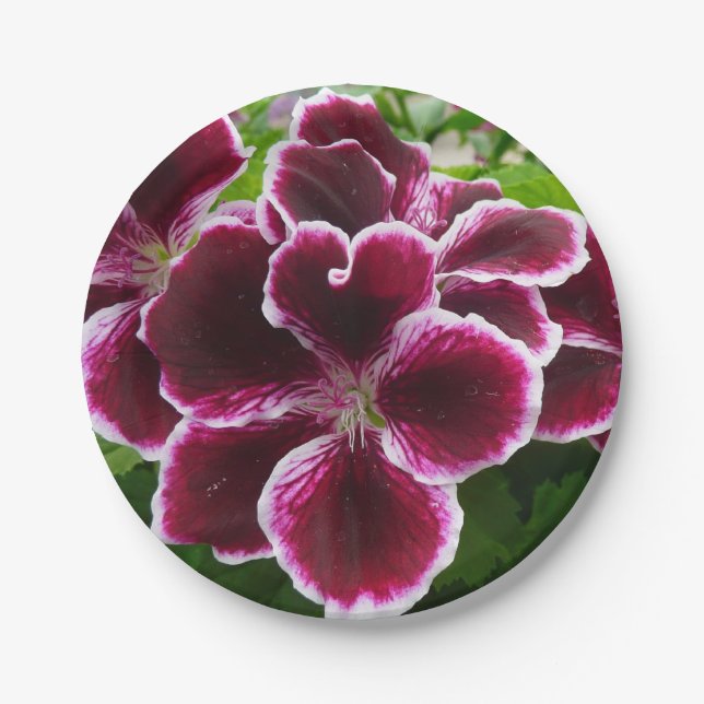 Regal Geranium Flowers Elegant Maroon Floral Lugga Pappteller (Vorderseite)
