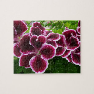 Regal Geranium Flowers Elegant Maroon Floral Lugga Puzzle