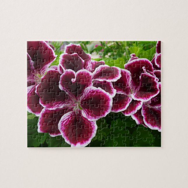 Regal Geranium Flowers Elegant Maroon Floral Lugga Puzzle (Horizontal)