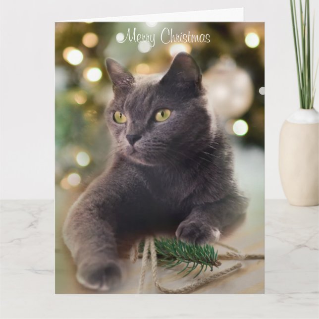 Regal Gray Cat mit Weihnachtsbeleuchtung Urlaub Karte (Vorderseite)