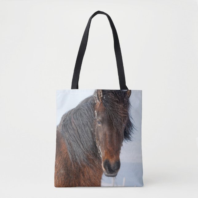 Regal Icelandic Horse Headshot (Vorderseite)