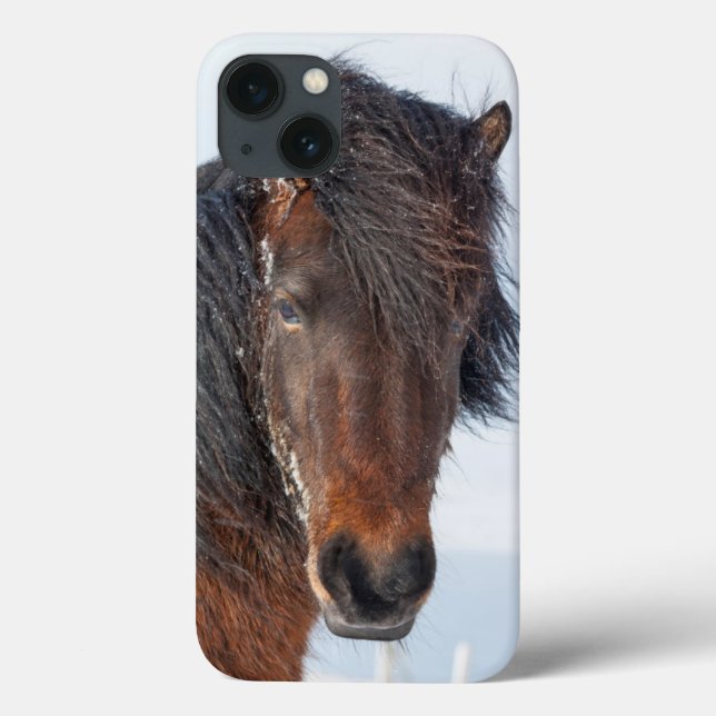 Regal Icelandic Horse Headshot Case-Mate iPhone Hülle (Rückseite)