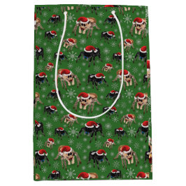 Regal Jumping Spider Phiddipus Regius Holiday Moss Mittlere Geschenktüte