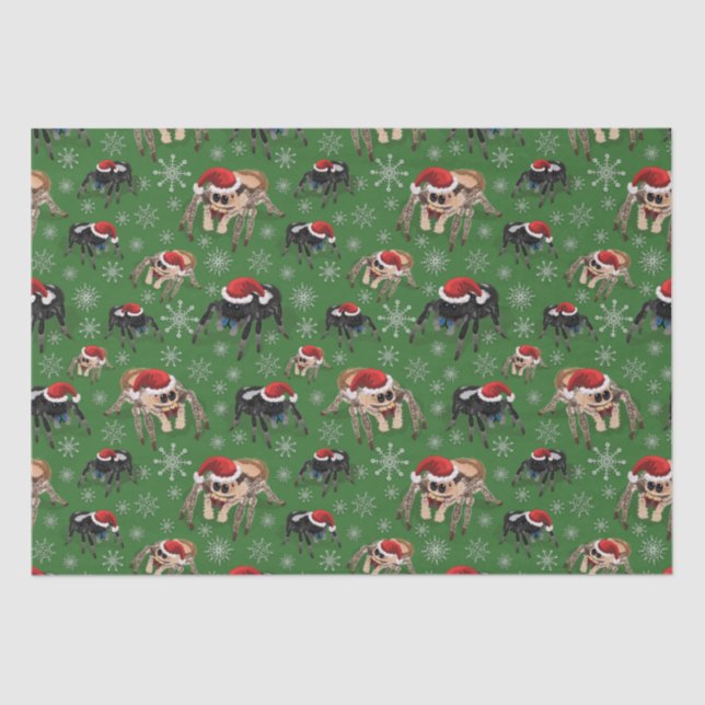 Regal Jumping Spider Phiddipus Regius Holiday Moss Seidenpapier (Vorderseite)