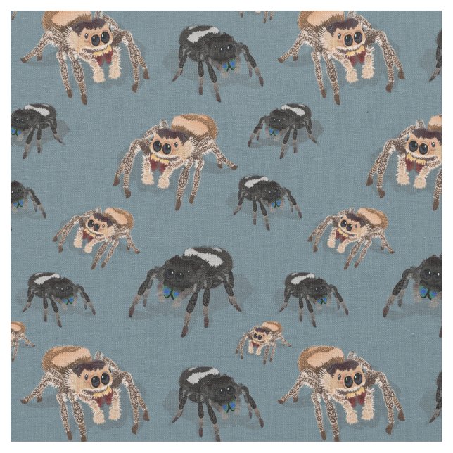 Regal Jumping Spider Phiddipus Regius Stoff (Nahaufnahme)