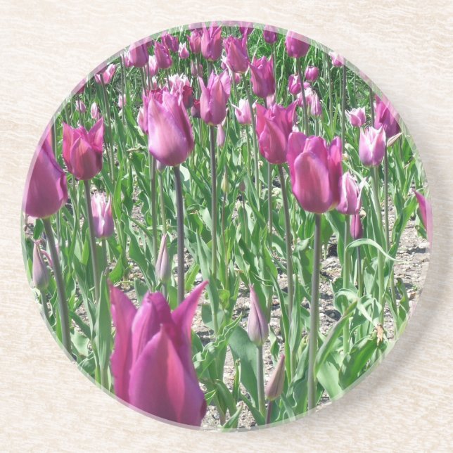 Regal Lila Tulips Getränkeuntersetzer (Vorne)