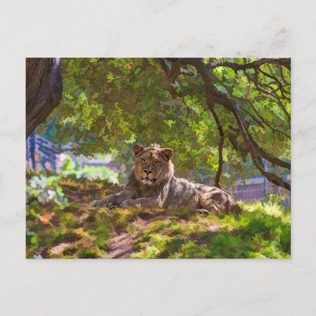 REGAL LION POSTKARTE (Vorderseite)