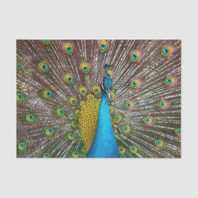 Regal Peacock Bird mit Aquamarinem und Goldplumage Seidenpapier (Vorderseite)