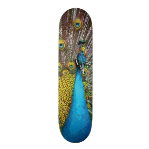 Regal Peacock mit Aquamarinen Blue and Gold Feathe Skateboard