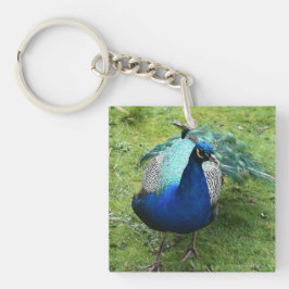 Regal Peacock Power Schlüsselanhänger