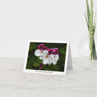 Regal Pelargonium Blume Sammelgrüße Karte