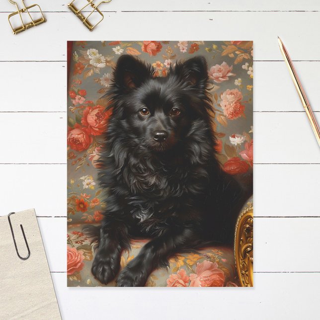 Regal Schipperke Dog Vintag Postkarte (Von Creator hochgeladen)