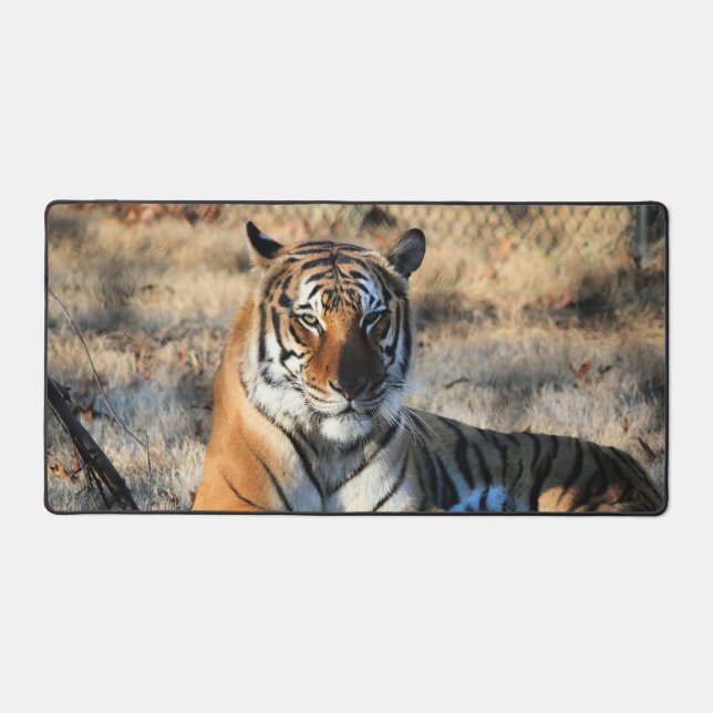 Regal Schreibtischunterlage (Vorderseite)