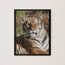 Regal Tiger Puzzle