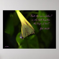 Regen am Morgen - Poster