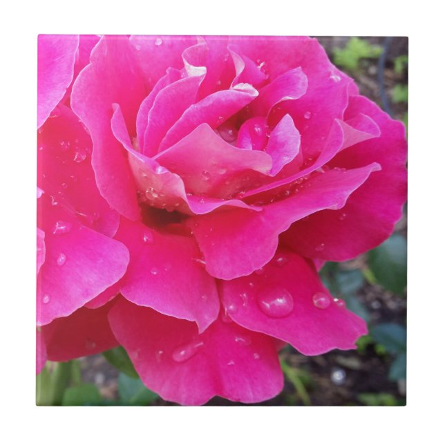 Regen auf Blättern Fliese (Vorderseite)