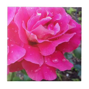 Regen auf Blütenblättern Fliese