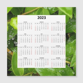 Regen auf Spiderweb 2023 Magnetkalender Magnetkarte