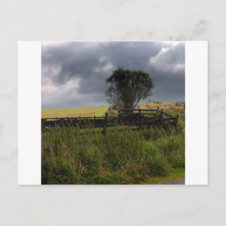 Regen bald postkarte