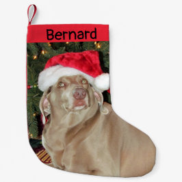 Regen Der Niedliche Weimaraner-Hund Personalisiert Kleiner Weihnachtsstrumpf