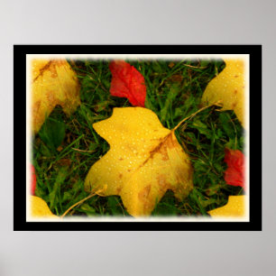Regen fällt Autumn Leaves Poster