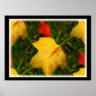 Regen fällt Autumn Leaves Poster