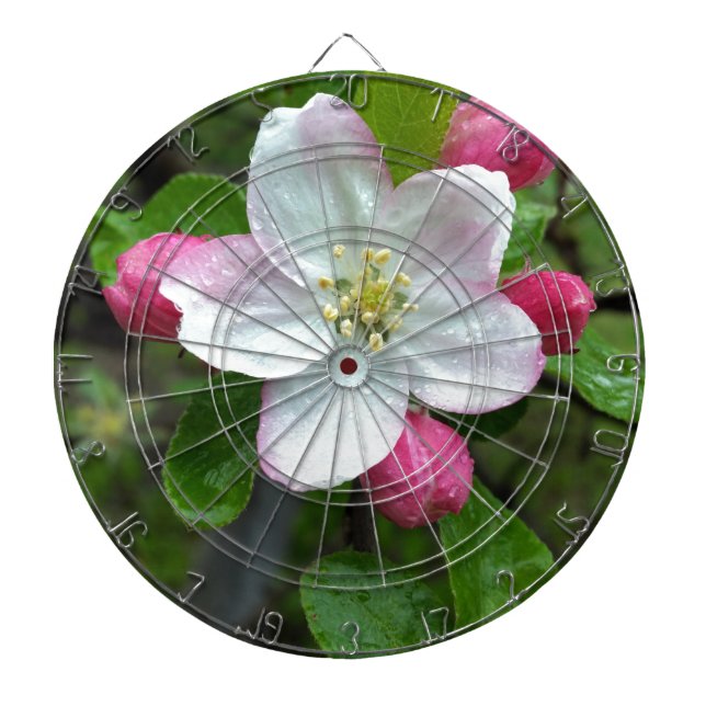 Regen fällt bei geringer Blume Dartscheibe (vorne)