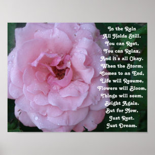 Regen-Gedicht auf einer schönen rosa Rose mit Poster