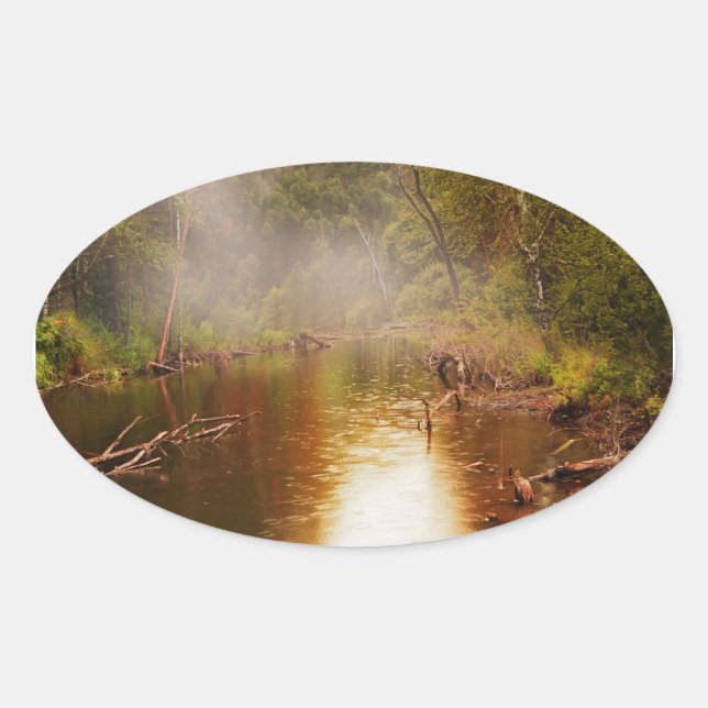 Regen im Wald Ovaler Aufkleber (Vorderseite)