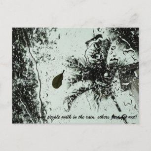 Regen in Florida Postkarte