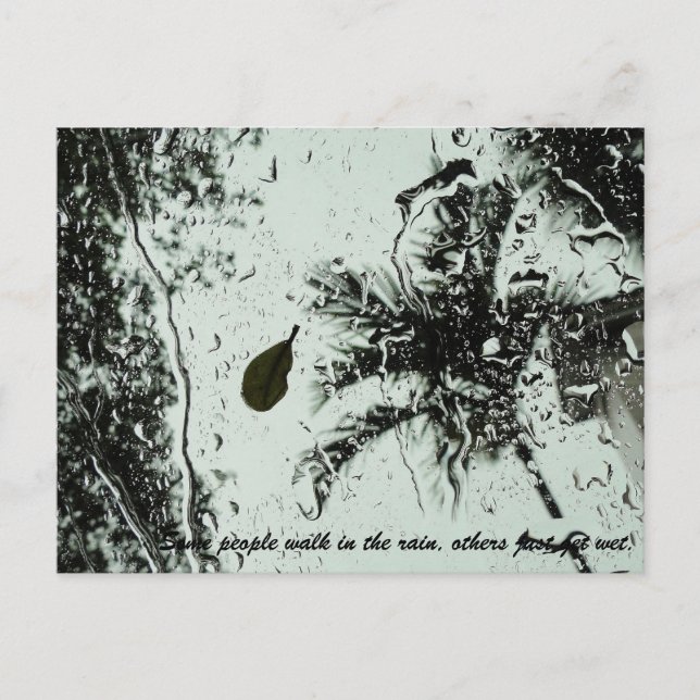 Regen in Florida Postkarte (Vorderseite)