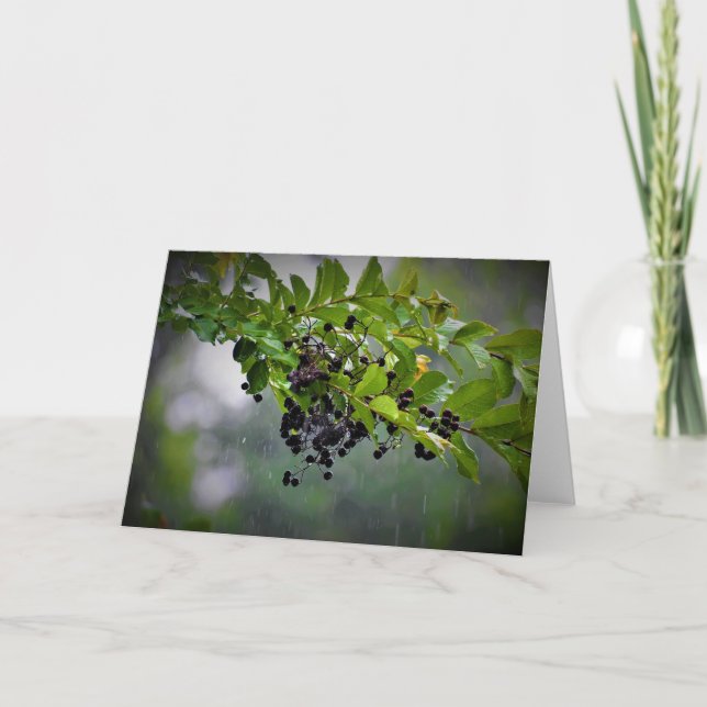 Regen, Karte (Vorderseite)