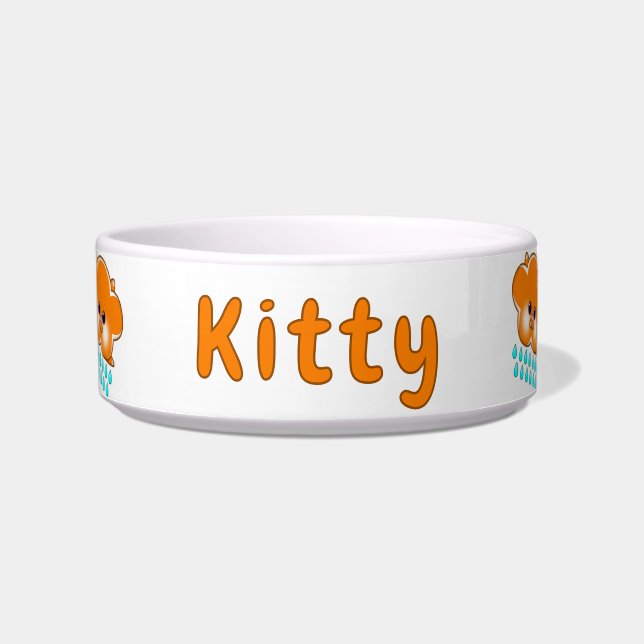 Regen Orange Tabby Cat Cloud - Katze Napf (Vorderseite)