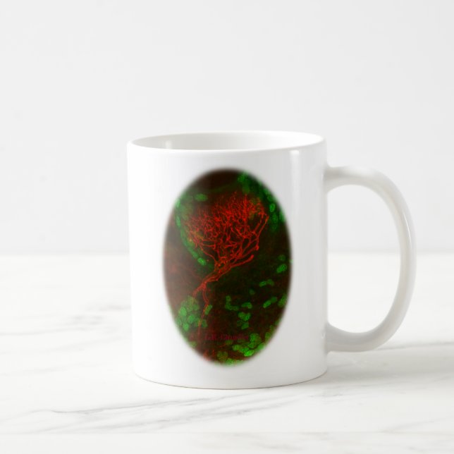 Regen Sie Ihre Neuronen an! Kaffeetasse (Rechts)