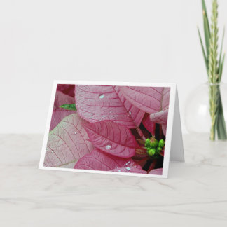 Regen-Tropfen Feiertagskarte