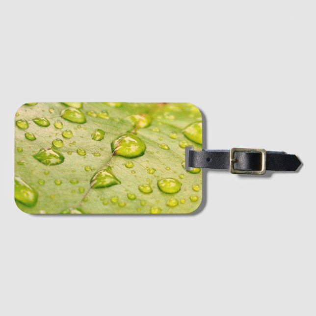 "Regenbenetztes Blatt-Gepäckanhänger Gepäckanhänger (Vorderseite (Horizontal))