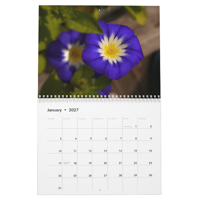 Regenbogen 2014 der Blumen Kalender (Jan 2027)
