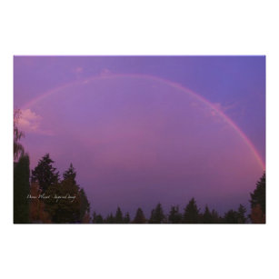 Regenbogen bei Morgendämmerung Fotodruck