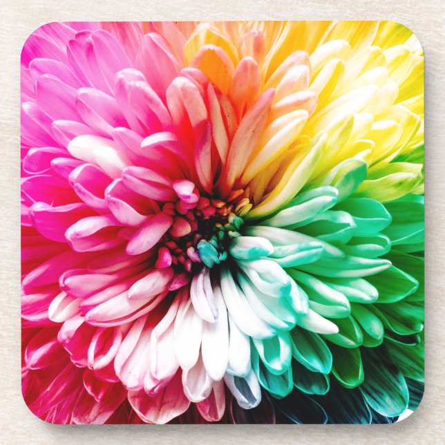 Regenbogen-Blume Getränkeuntersetzer (Vorderseite)