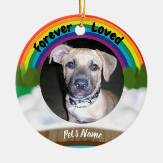 Regenbogen-Brücken-Haustier-Verlust Keramik Ornament