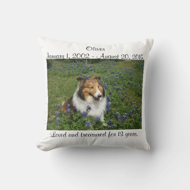 Regenbogen-Brücken-Kissen Kissen (Vorderseite)