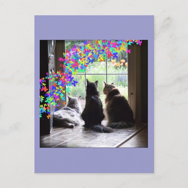 Regenbogen-Brückenkatzen-Beileidpostkarte Postkarte (Vorderseite)