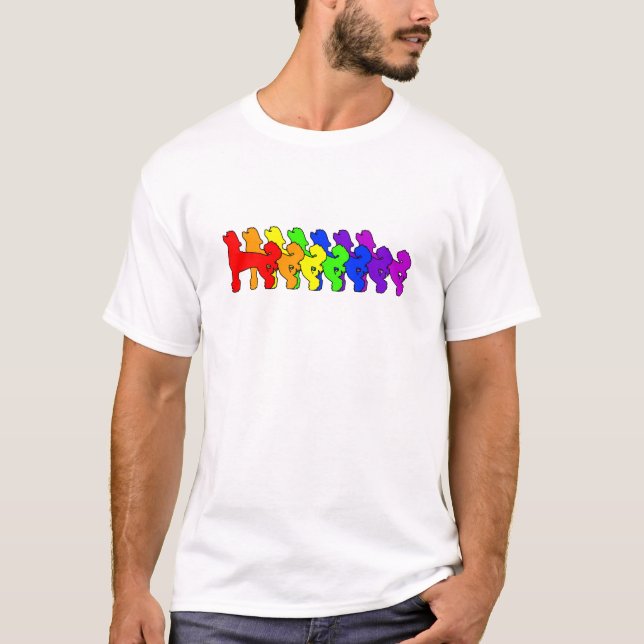 Regenbogen-Chinese Crested T-Shirt (Vorderseite)